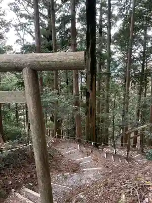 玉置神社の{uncategorized: "未分類", other: "その他", undefined: "問題あり", building: "その他建物", grave: "お墓", sacred_gate: "鳥居", guardian: "狛犬", statue: "像", buddha: "仏像", history: "歴史", nature: "自然", garden: "庭園", animal: "動物", pagoda: "塔", temizu: "手水舎", mountain_gate: "山門・神門", sanctuary: "本殿・本堂", subordinate: "末社・摂社", art: "芸術", scenery: "景色", jizo: "地蔵", ema: "絵馬", goshuin: "御朱印", omikuji: "おみくじ", items: "授与品その他", amulet: "お守り", goshuincho: "御朱印帳", eats: "食事", festival: "お祭り", votive_dance: "神楽", shichigosan: "七五三参", wedding: "結婚式", experience: "体験その他", initially: "初詣", around: "周辺", anti_infection: "感染症対策"}