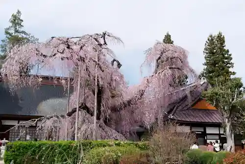 慈雲寺の自然