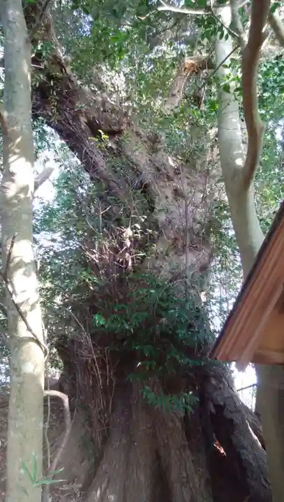 神社のその他建物