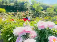 金蛇水神社の自然