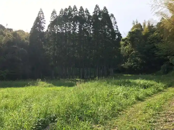 観音寺の周辺