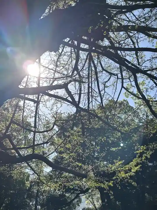 赤坂氷川神社(東京都)