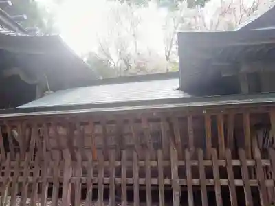 磯部稲村神社(茨城県)