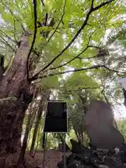 王子神社(東京都)