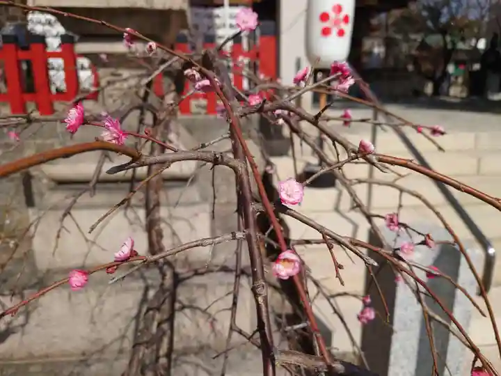 綱敷天満神社(兵庫県)