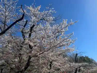 上野東照宮(東京都)