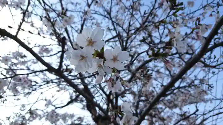 水神社(富士見町)(静岡県)