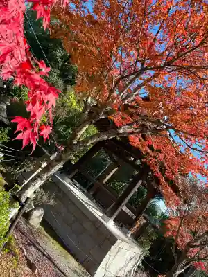 常樂寺(滋賀県)