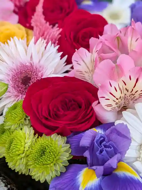本郷氷川神社(東京都)