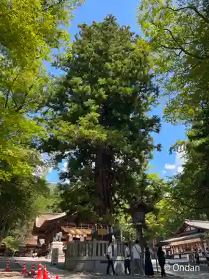 諏訪大社下社秋宮(長野県)