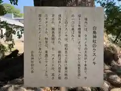 白鳥神社(香川県)