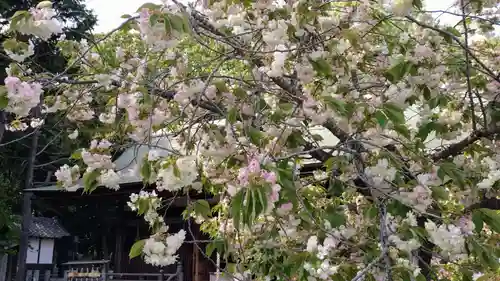 上地八幡宮(愛知県)