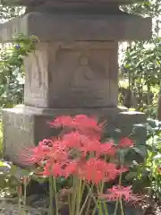 横浜　西方寺の自然