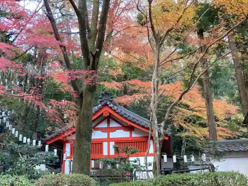 石山寺の建物その他