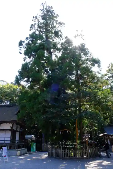 大神神社の自然