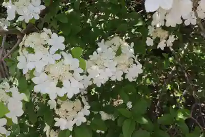 唐招提寺(奈良県)