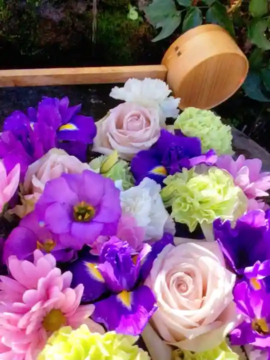 本郷氷川神社(東京都)