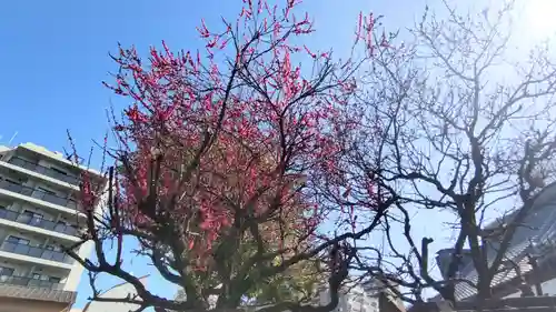 養願寺(東京都)