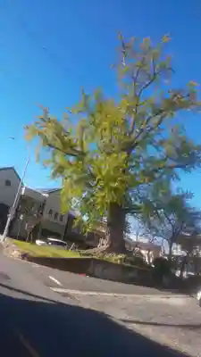 津島神社の周辺