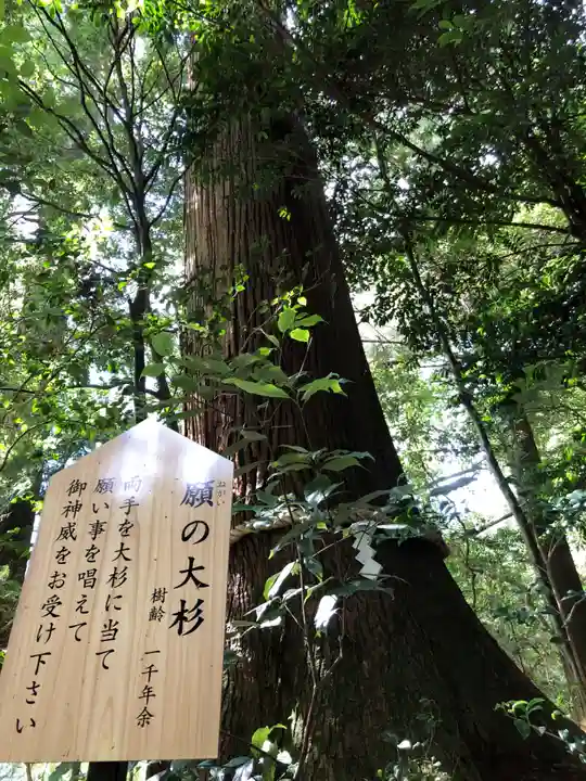 丹生川上神社(中社)(奈良県)