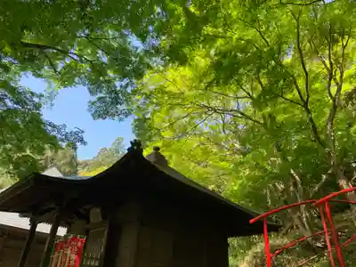 普門寺(切り絵御朱印発祥の寺)の本殿・本堂