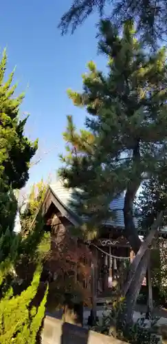 浅間神社の本殿