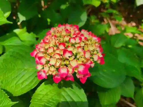 筥崎宮(福岡県)