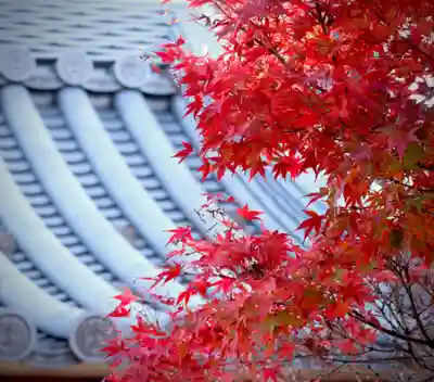 普元寺(愛知県)