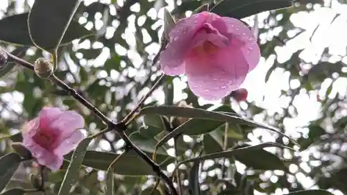 長岡天満宮(京都府)