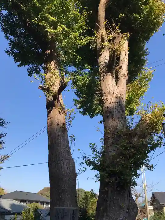 御霊神社(神奈川県)