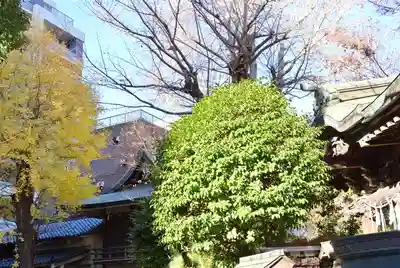 小野照崎神社(東京都)