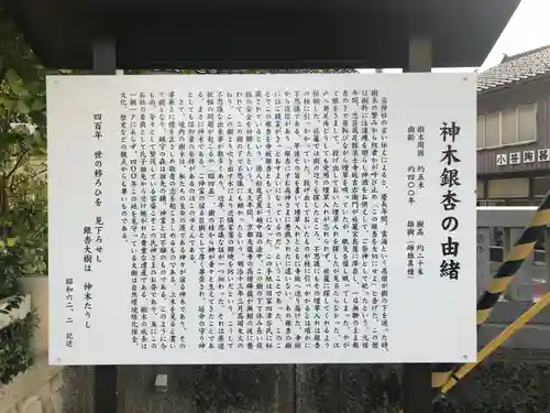 川巴良諏訪神社の歴史