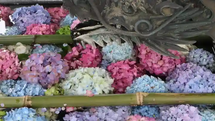 柳谷観音 楊谷寺(京都府)