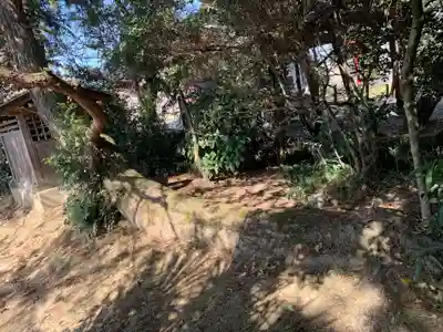 篠塚稲荷神社の自然