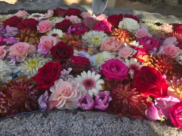 浄誓寺の{uncategorized: "未分類", other: "その他", undefined: "問題あり", building: "その他建物", grave: "お墓", sacred_gate: "鳥居", guardian: "狛犬", statue: "像", buddha: "仏像", history: "歴史", nature: "自然", garden: "庭園", animal: "動物", pagoda: "塔", temizu: "手水舎", mountain_gate: "山門・神門", sanctuary: "本殿・本堂", subordinate: "末社・摂社", art: "芸術", scenery: "景色", jizo: "地蔵", ema: "絵馬", goshuin: "御朱印", omikuji: "おみくじ", items: "授与品その他", amulet: "お守り", goshuincho: "御朱印帳", eats: "食事", festival: "お祭り", votive_dance: "神楽", shichigosan: "七五三参", wedding: "結婚式", experience: "体験その他", initially: "初詣", around: "周辺", anti_infection: "感染症対策"}