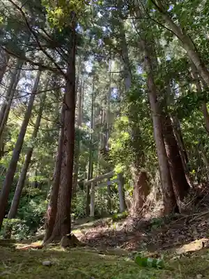 琴平神社の鳥居