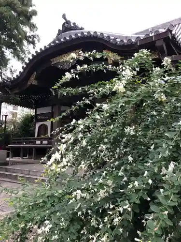 總持寺の自然