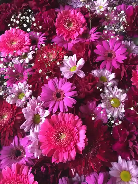 札幌諏訪神社の手水舎