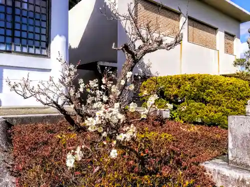 八幡社（大古根八幡社）の自然