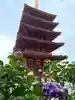高幡不動尊 金剛寺(東京都)