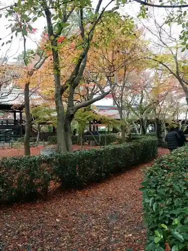 真正極楽寺（真如堂）の庭園