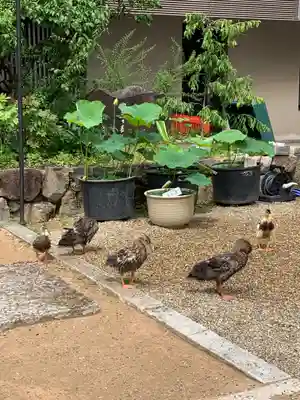 生田神社(兵庫県)