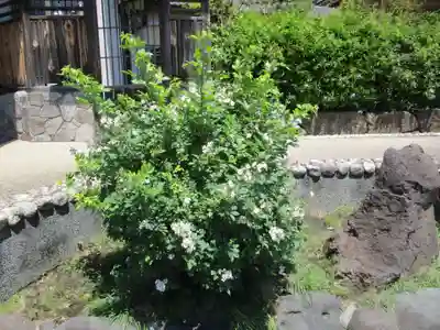 東福寺(神奈川県)