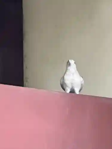 川越八幡宮(埼玉県)