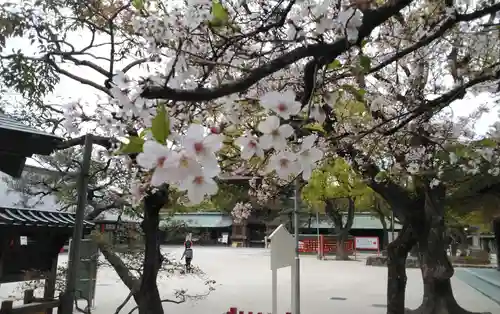 筥崎宮の庭園