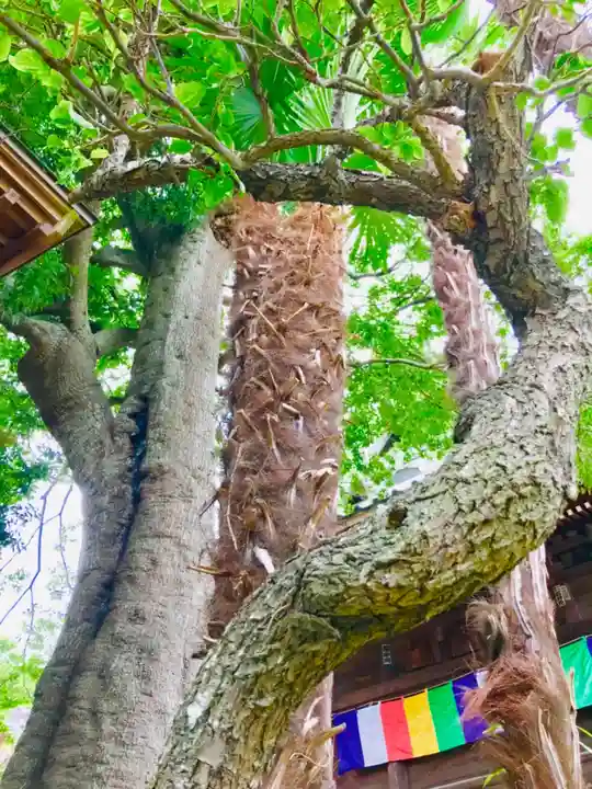 善応寺のその他建物