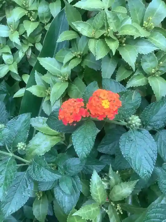 三輪神社(愛知県)