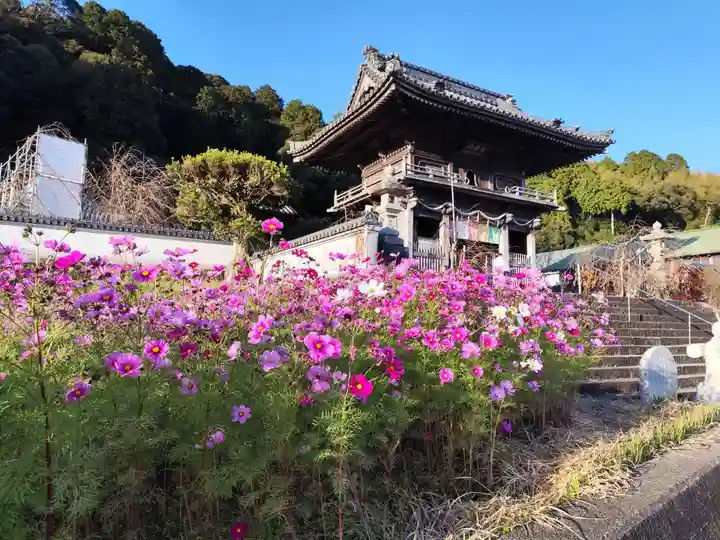 平等寺(徳島県)