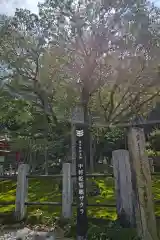 願成寺の自然