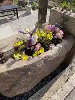 水堂須佐男神社の手水舎